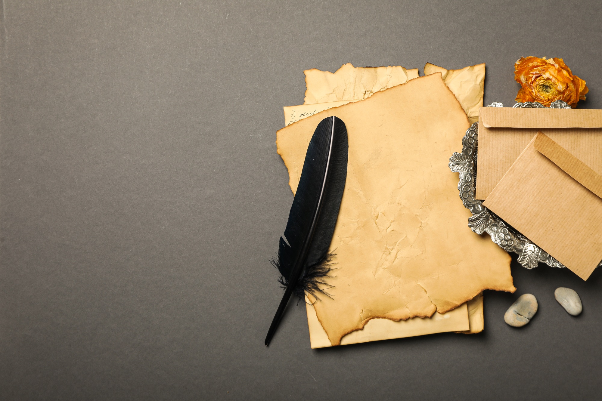 Vintage papers, feather and rose on gray background, space for text
